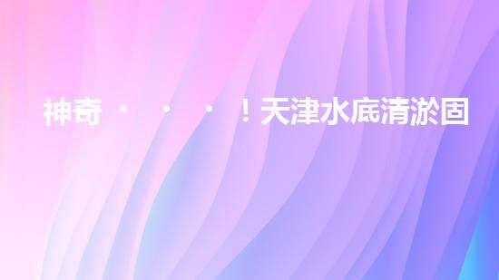 神奇！天津水底清淤固化設(shè)備：解開海底秘密！